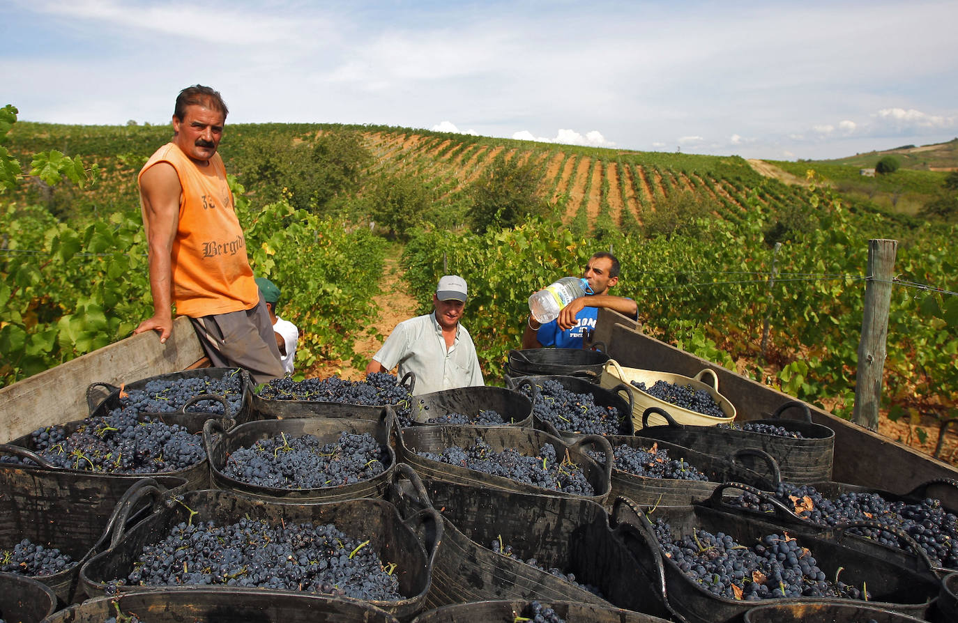 El Consorcio Provincial de Turismo y Leonoticias realizan un recorrido por las tierras vitivinícolas de la provincia para conocer de cerca la DO Bierzo y la Do León dos zonas con denominación de origen 