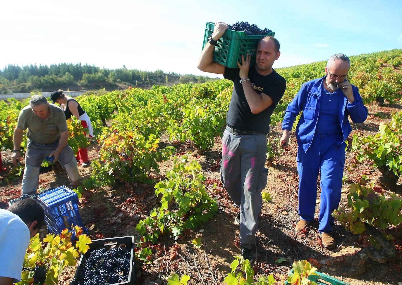 El Consorcio Provincial de Turismo y Leonoticias realizan un recorrido por las tierras vitivinícolas de la provincia para conocer de cerca la DO Bierzo y la Do León dos zonas con denominación de origen 