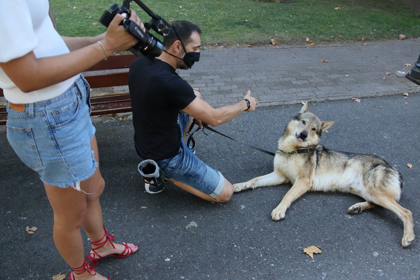 Mina, Laya y Afro hicieron las maletas con su dueño y viajaron hasta Portugal para rodar una superproducción | No es la primera vez que los tres perros rueda una película o aparecen en una serie, pero sí la primera que se codean con Nicolas Cage. 