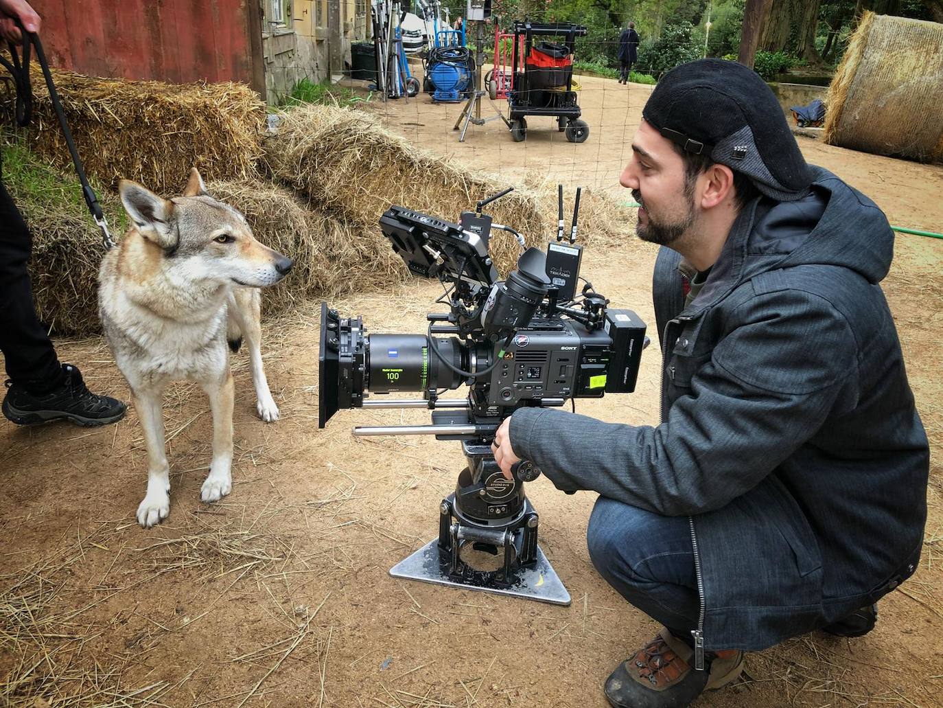 Mina, Laya y Afro hicieron las maletas con su dueño y viajaron hasta Portugal para rodar una superproducción | No es la primera vez que los tres perros rueda una película o aparecen en una serie, pero sí la primera que se codean con Nicolas Cage. 