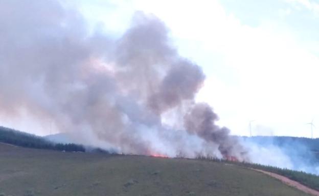 Imagen del incendio en Montealegre.