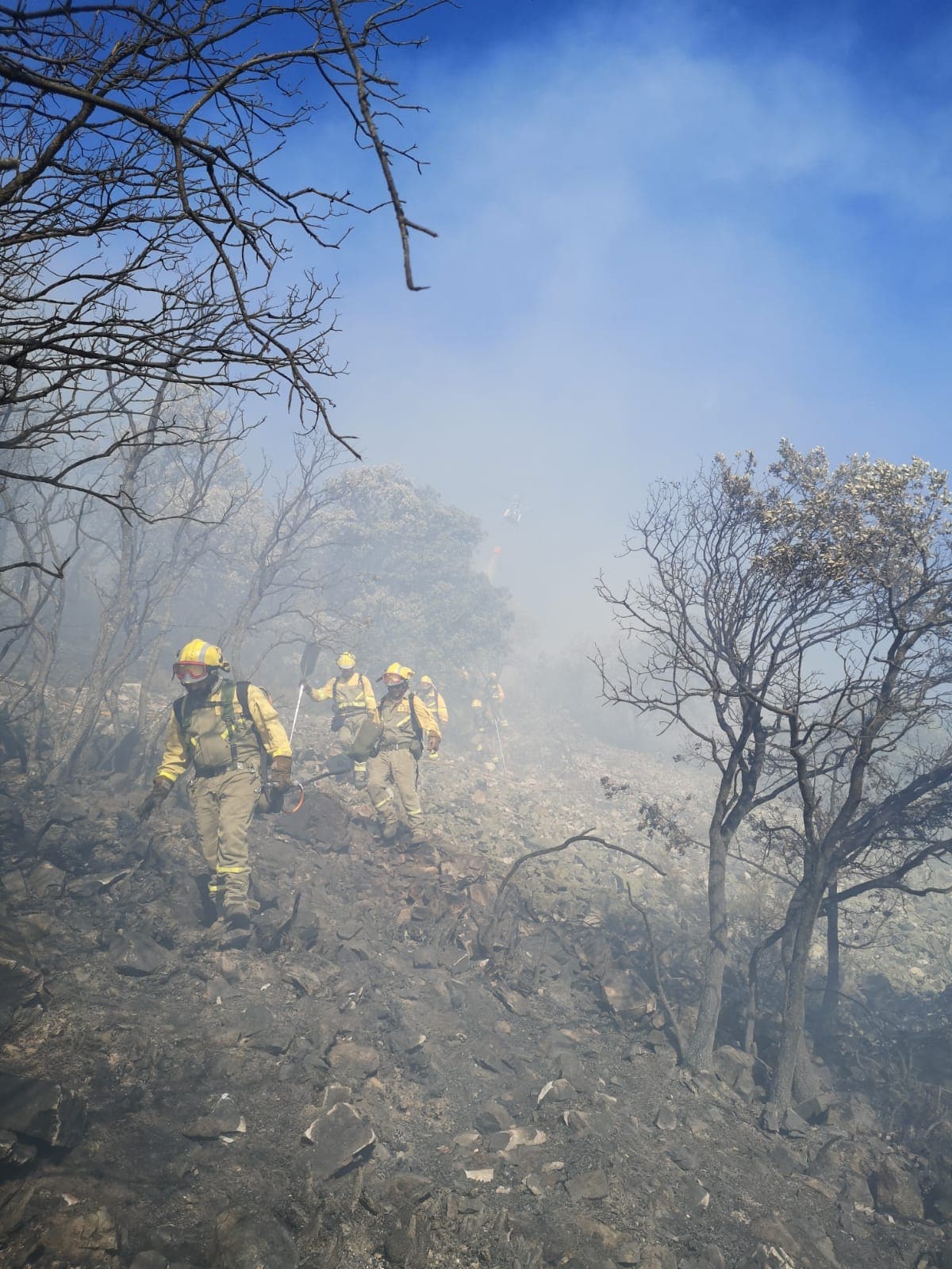 Fotos: Brif Tabuyo en el incendio de Montealegre