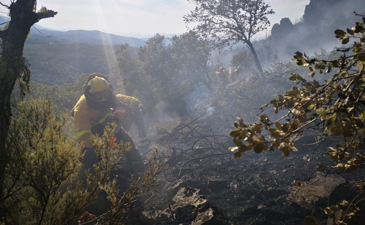 Bomberos forestales. 