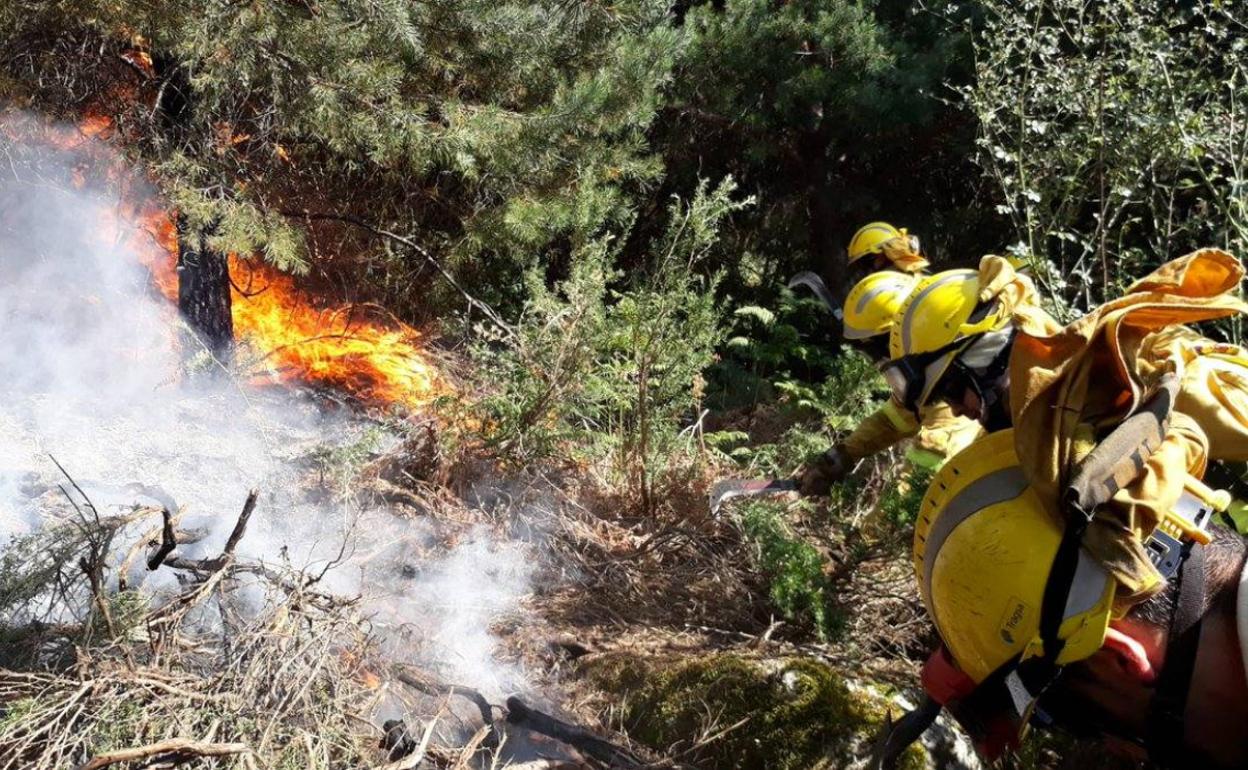 Bomberos forestales realizando tareas de consolidación del perimetro en flanco derecho del incendio de La Granja.