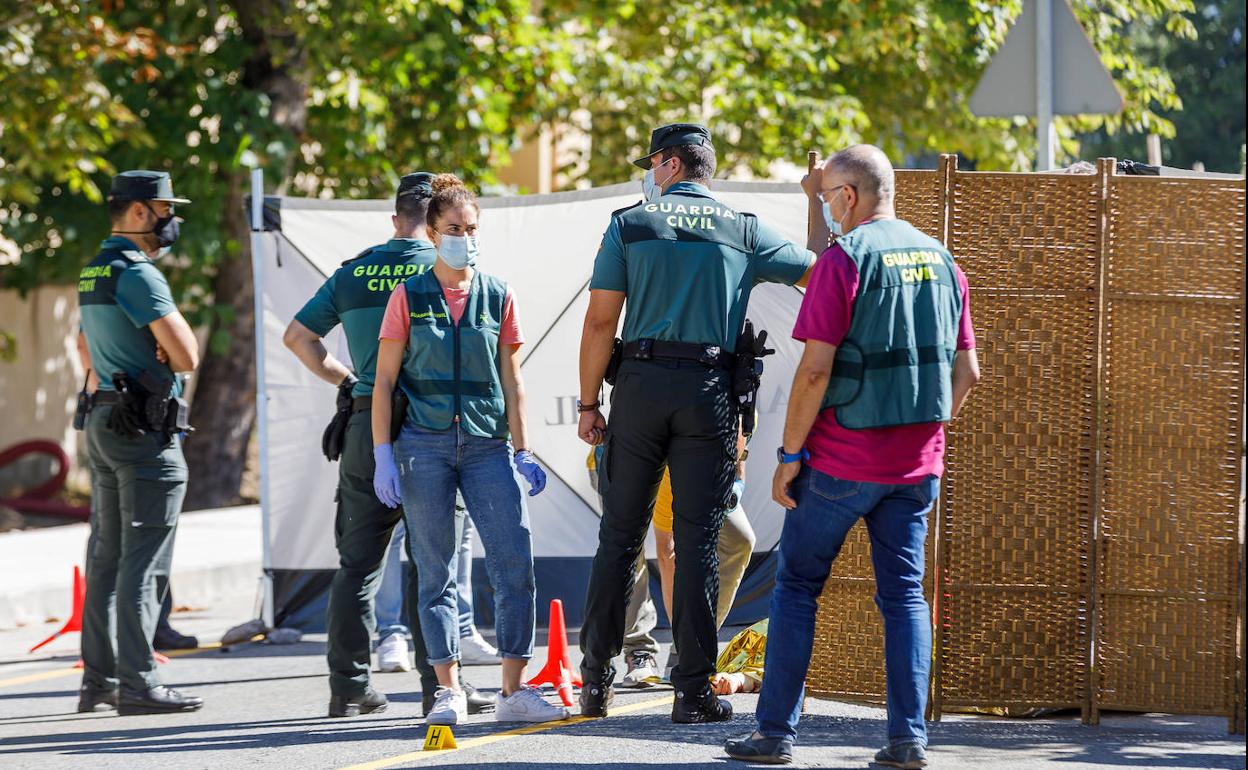 Una mujer ha sido asesinada en plena calle en la Granja de San Ildefonso.