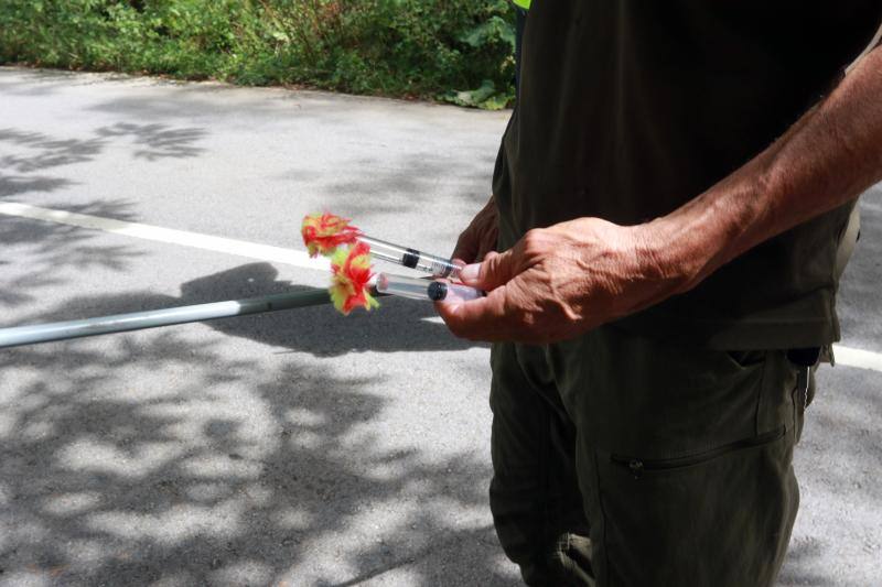 El animal salió de improviso a la calzada, por lo que el conductor que lo atropelló no pudo evitar el accidente.