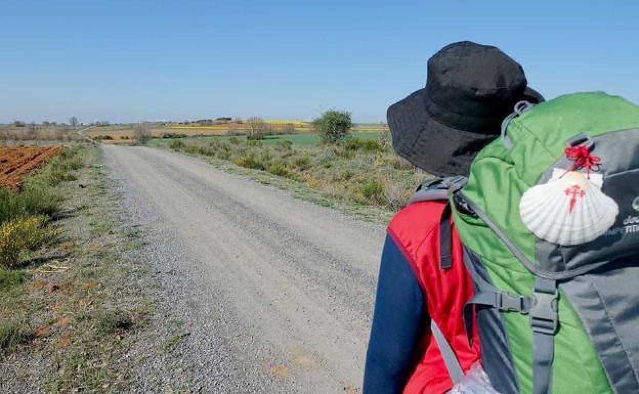 Un peregrino en el Camino. 