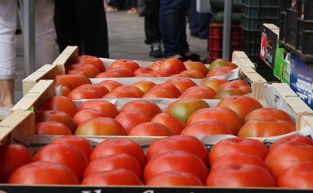 Imagen de la XXX edición de la Feria del Tomate de Mansilla. 