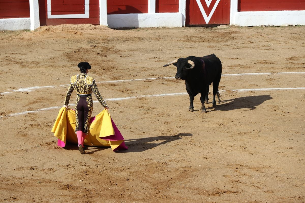 Astorga vive uno de los pocos festejos taurinos de la comunidad.