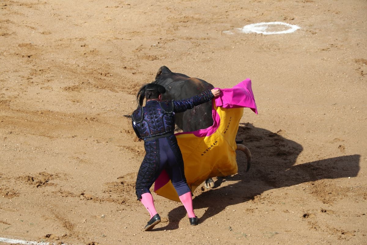 Astorga vive uno de los pocos festejos taurinos de la comunidad.