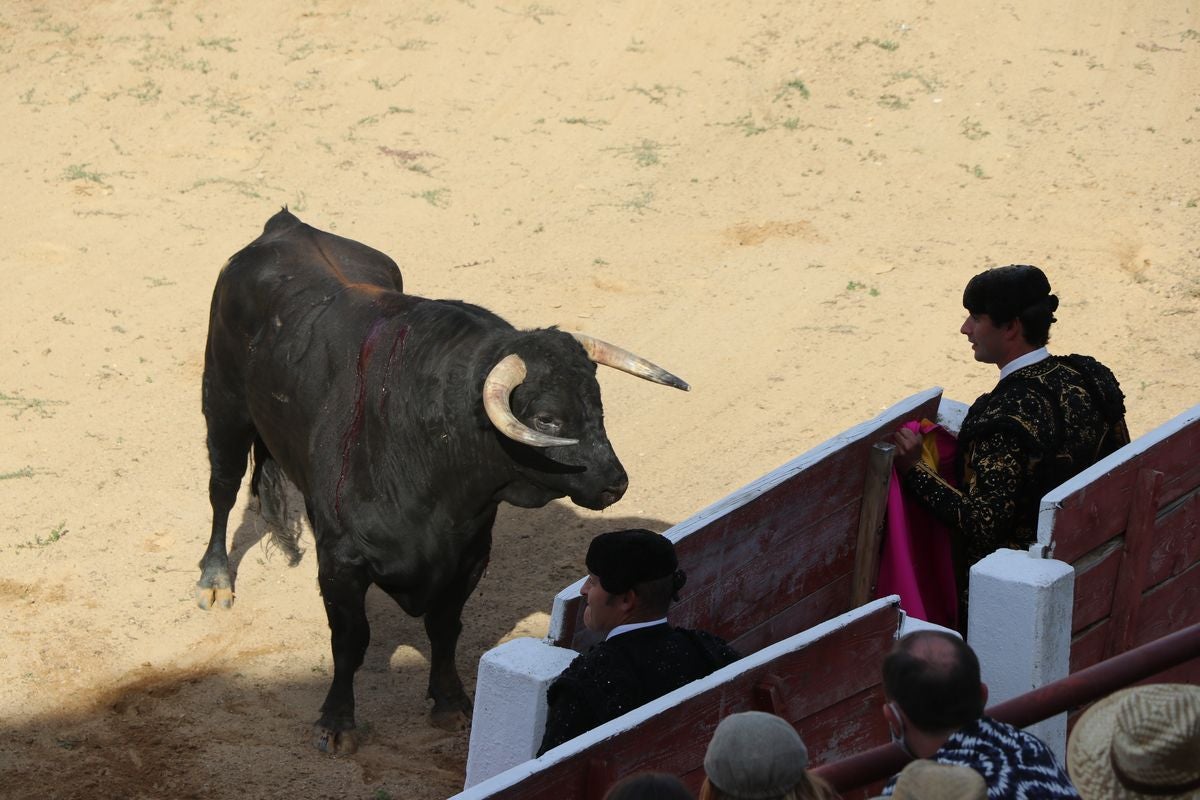 Astorga vive uno de los pocos festejos taurinos de la comunidad.