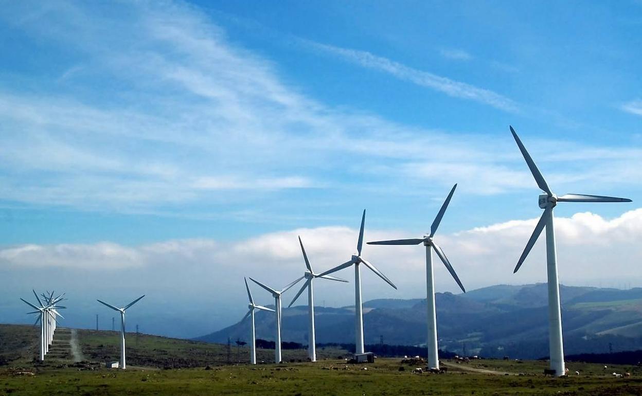 Algunos creen que somos tontos