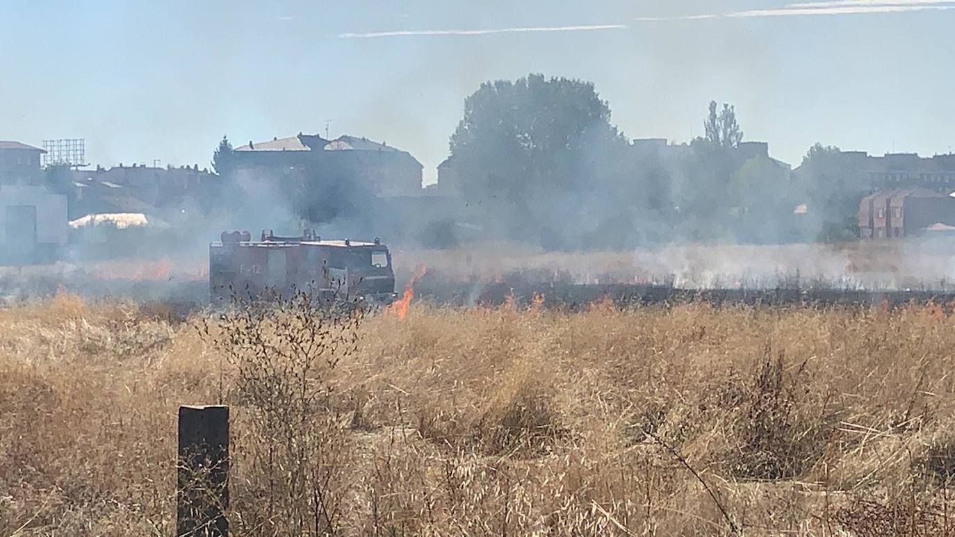 Una dotación de Bomberos de la capital leonesa ha tenido que intervenir para sofocar las llamas, que han arrasado la maleza de la parcela. 