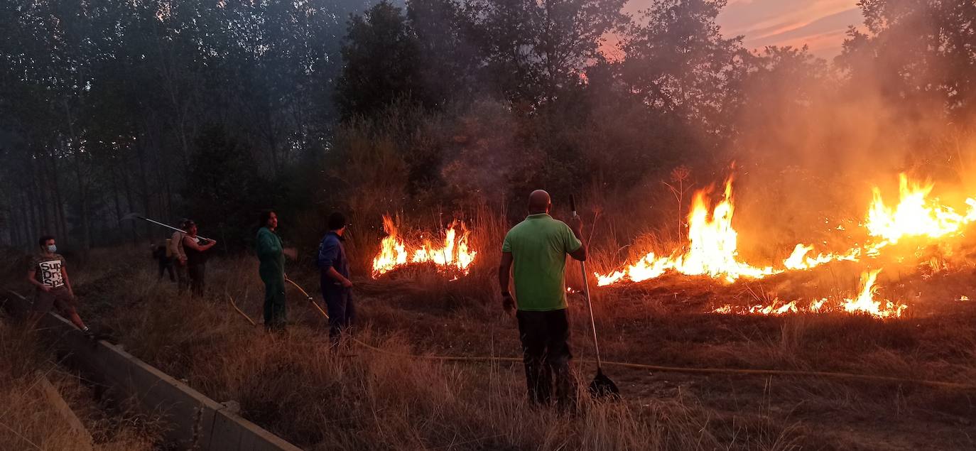 Fotos: Incendio en Nogarejas