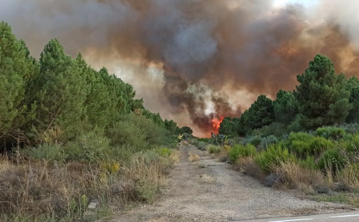 Incendio de Nogarejas.