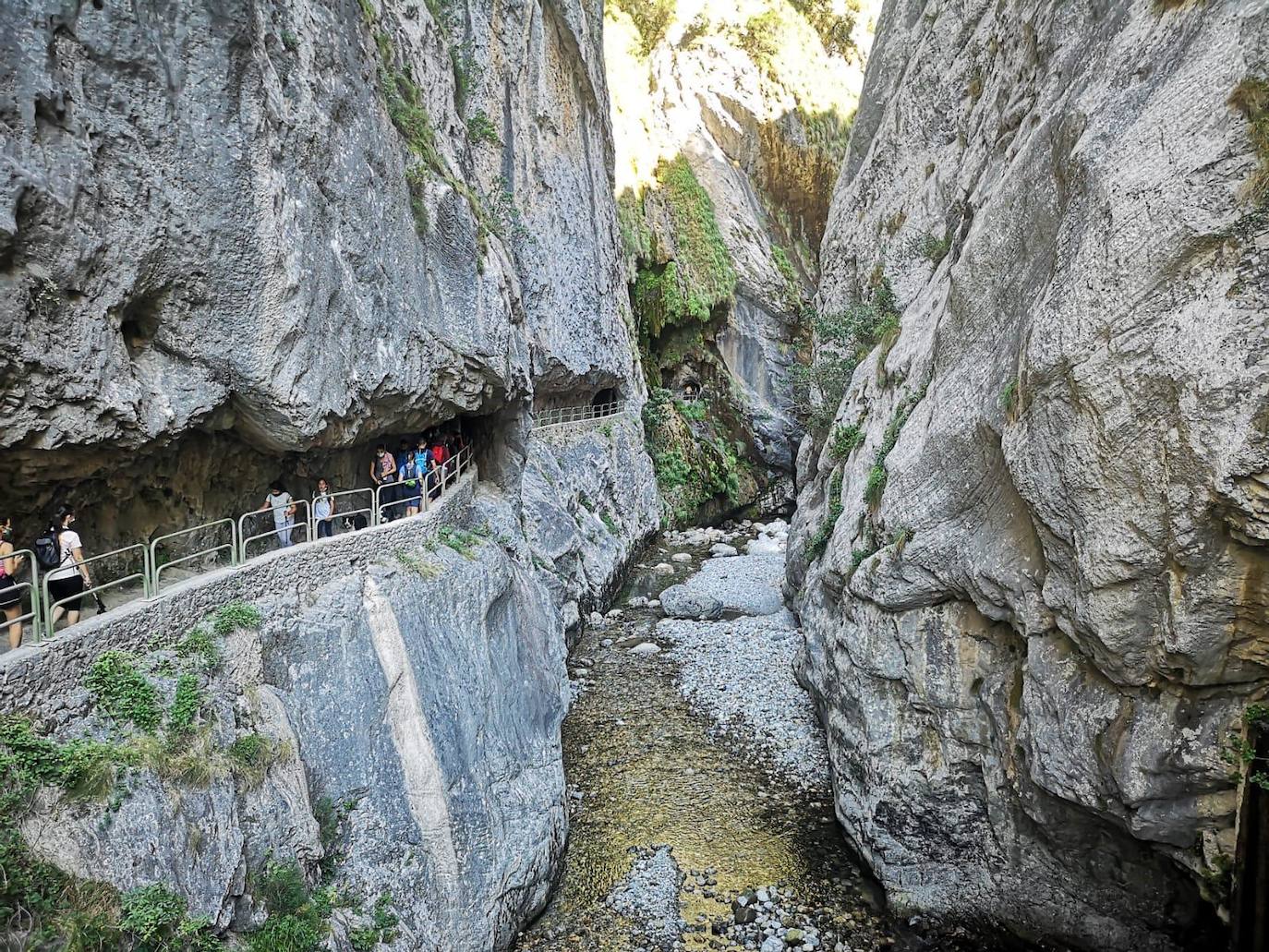 La Casona de Palmira, gastronomía y naturaleza en los Picos de Europa. 