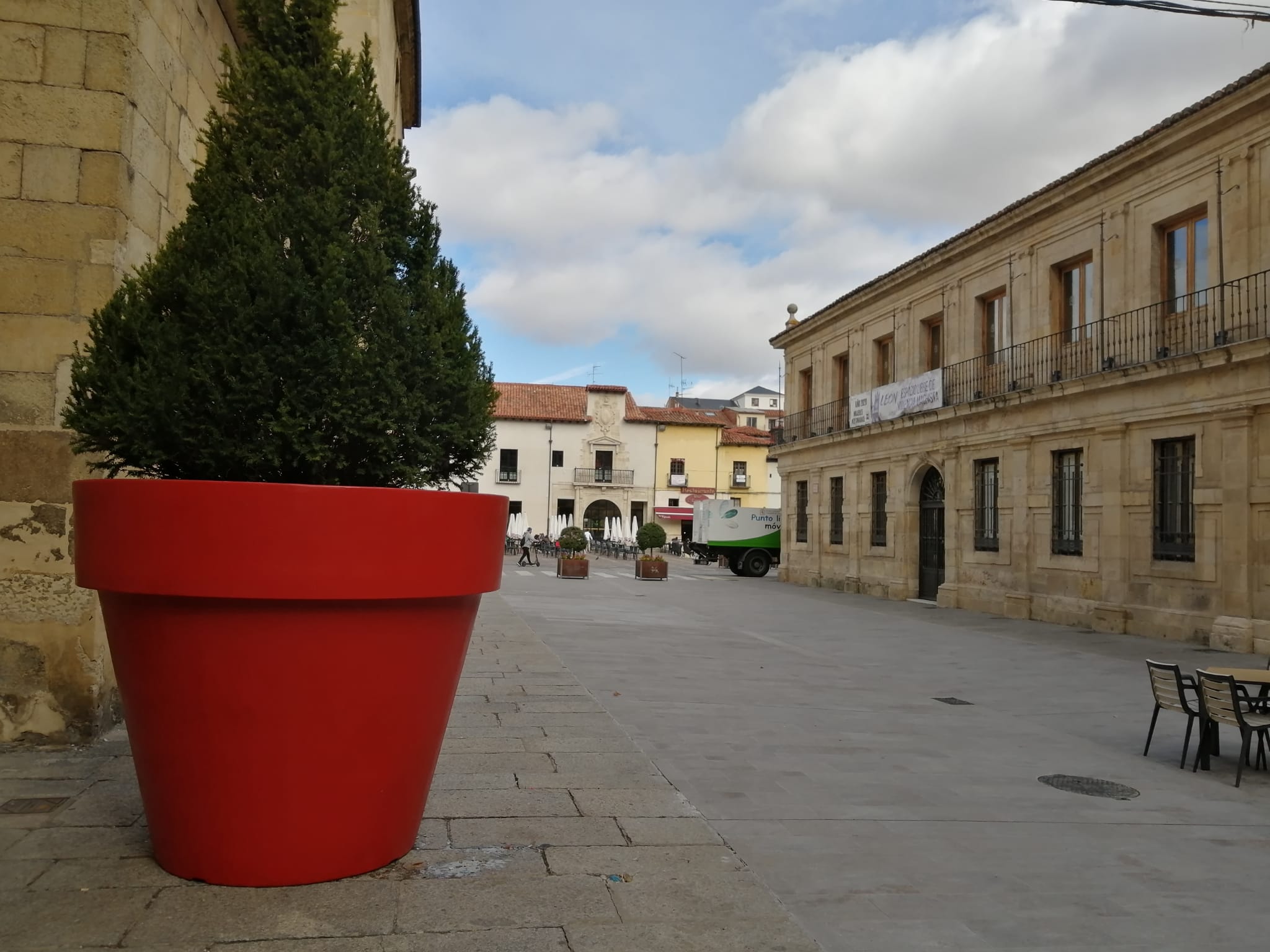 La maceta, recién instalada. 