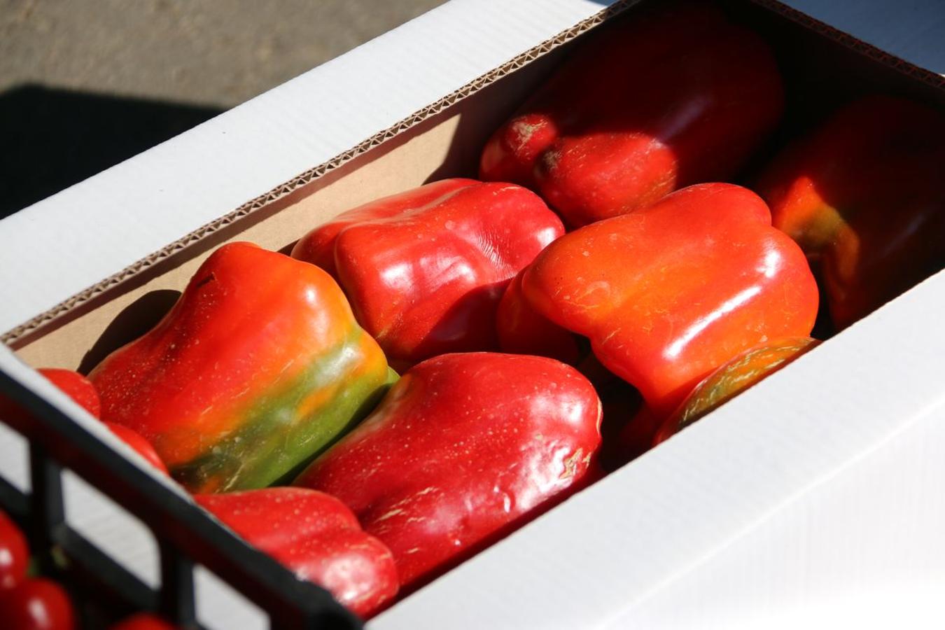 El pimiento de la huerta de Fresno de la Vega se caracteriza por su alta calidad y su gran sabor. 