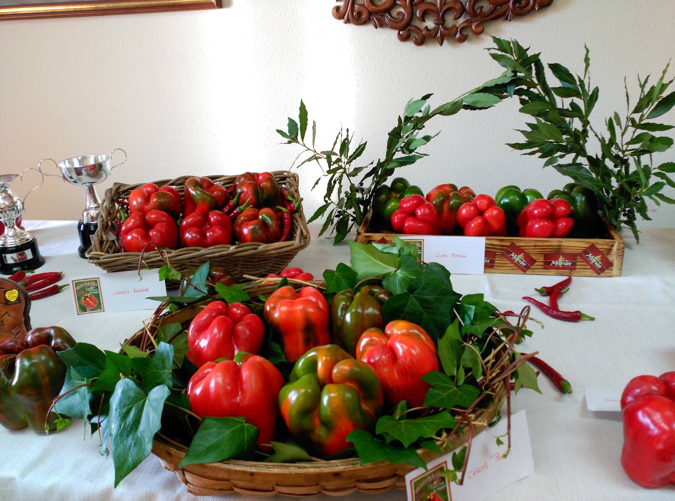 El pimiento de la huerta de Fresno de la Vega se caracteriza por su alta calidad y su gran sabor. 