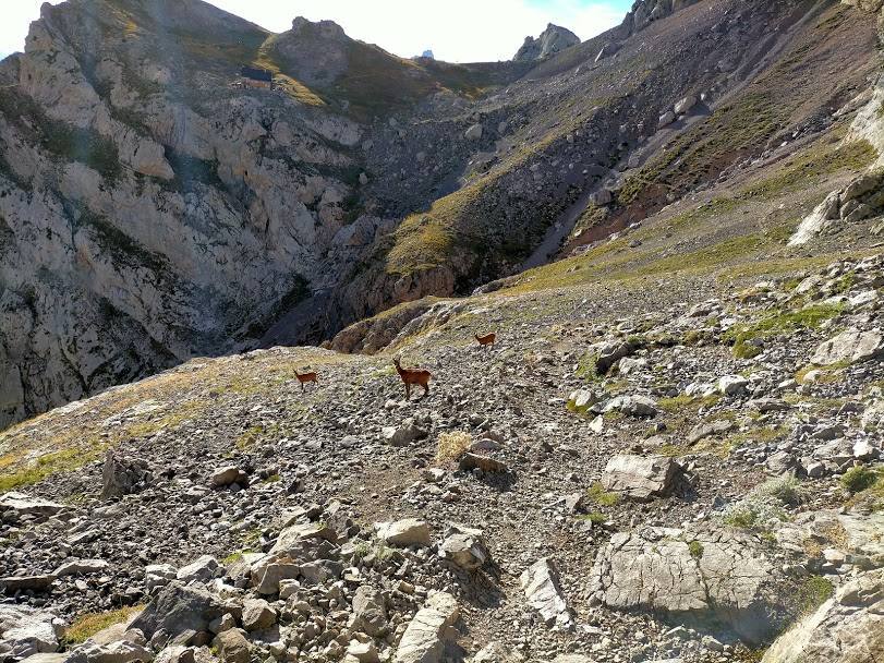 Bajada desde el Pico La Palanca en el macizo central de Picos de Europa