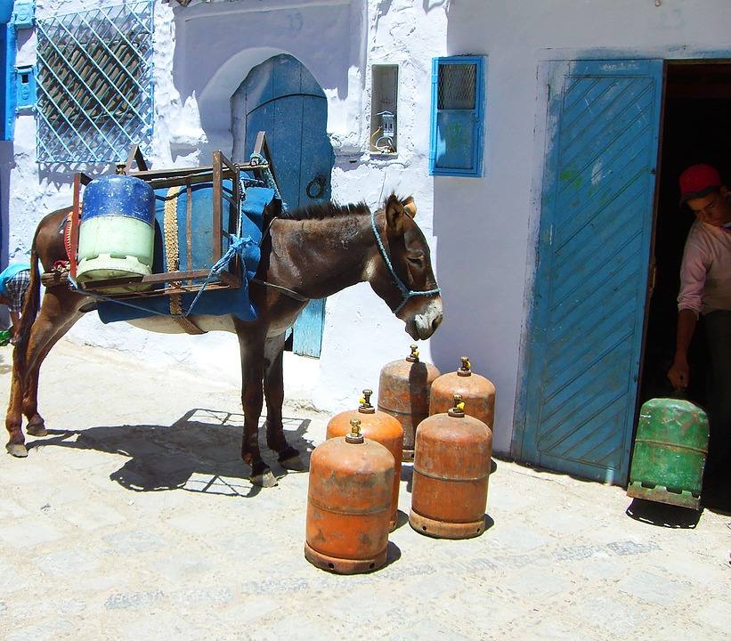 El pueblo de Chefchaouen, en Marruecos, es el municipio más azul del mundo. Aquí las calles están pintadas con variaciones de este color, que también predomina en la fachada, ventanas, puertas y hasta en el interior de sus casas. El resultado es un llamativo conjunto en medio de las montañas del Rif que atrae a turistas de todas partes del mundo. 