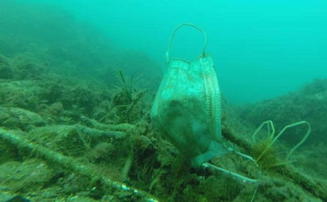 Una mascarilla quirúrgica usada encontrada en el fondo del mar.