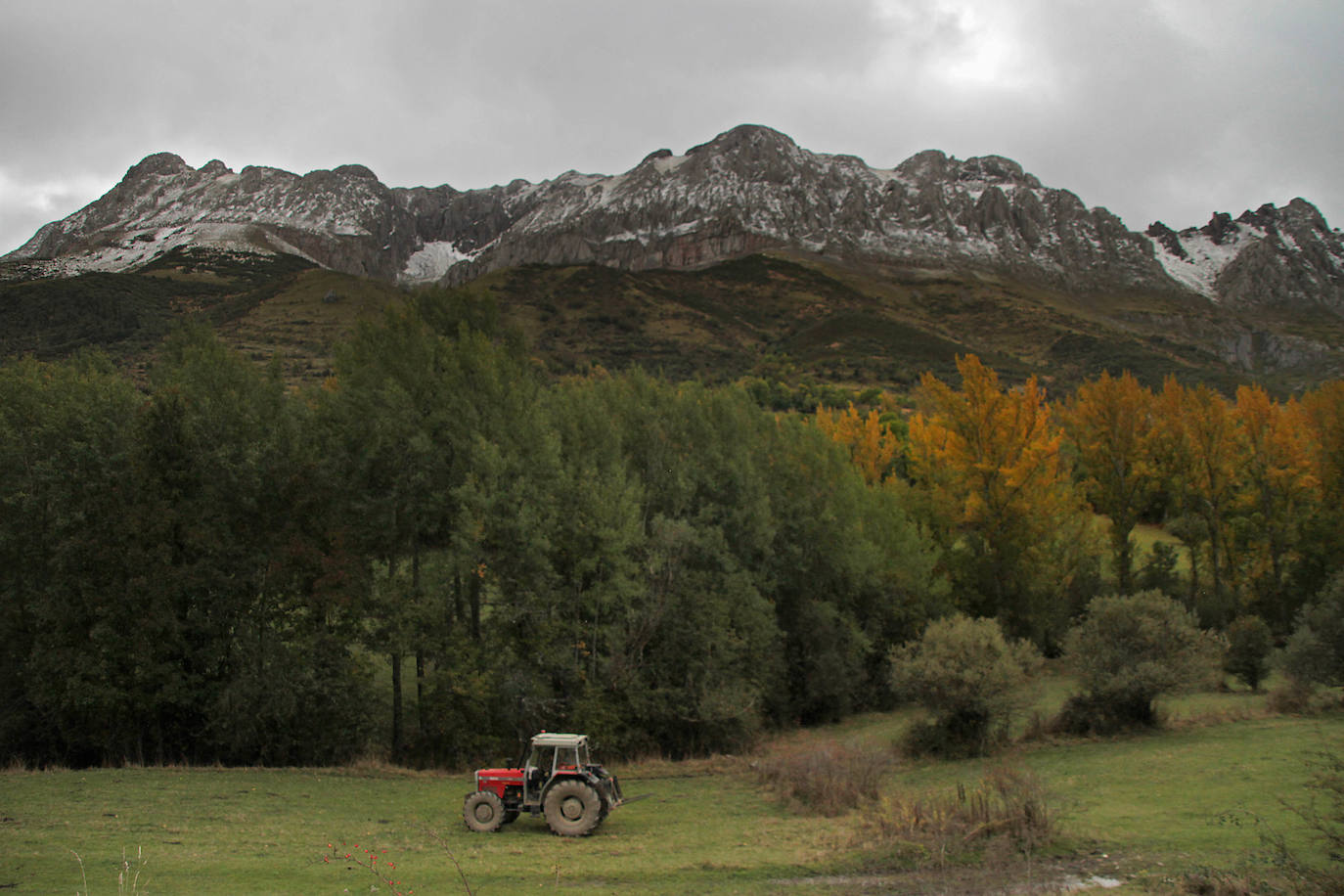 Fotos: La nieve en la provincia