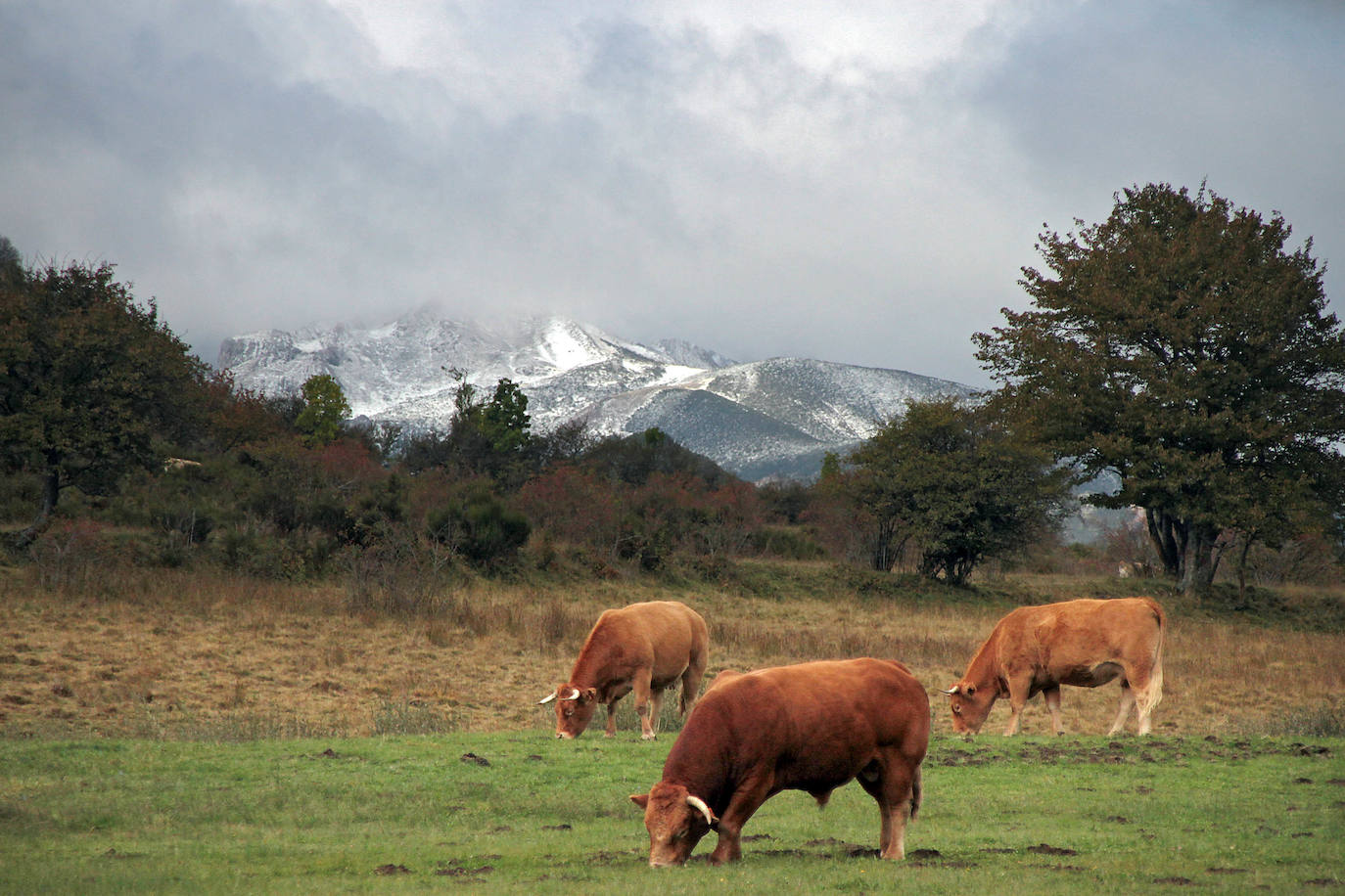 Fotos: La nieve en la provincia