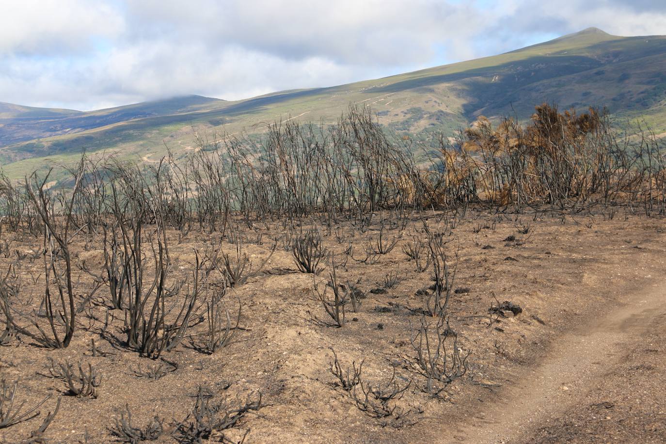 Fueron varios días de miedo, desolación y espanto para los vecinos de esta zona de la provincia de León.