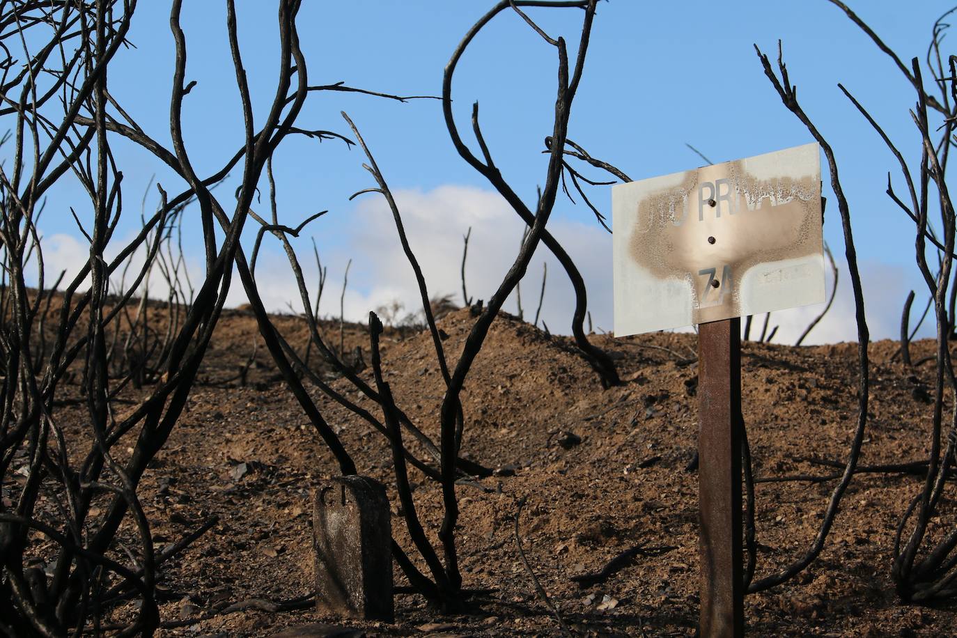 Fueron varios días de miedo, desolación y espanto para los vecinos de esta zona de la provincia de León.