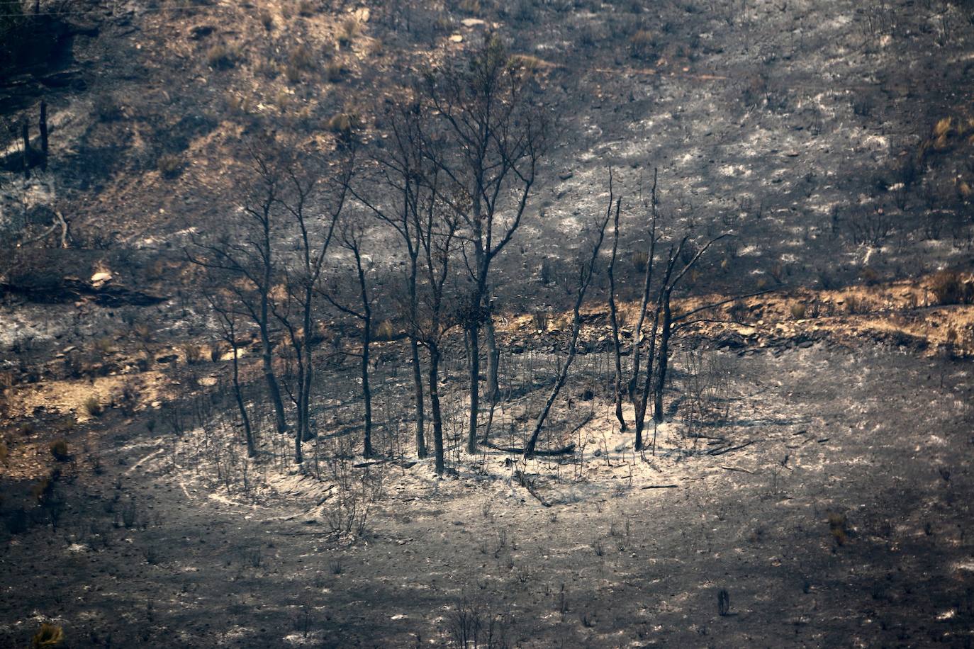 Fueron varios días de miedo, desolación y espanto para los vecinos de esta zona de la provincia de León.