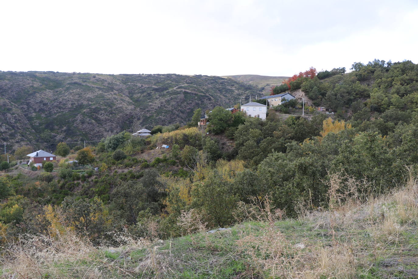 Esta zona de la provincia de León todavía recuerda cómo las llamas acabaron con más de 10.000 hectáreas.