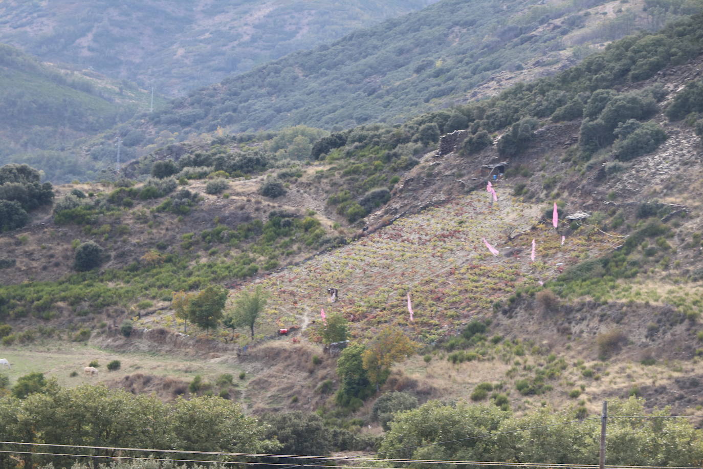 Esta zona de la provincia de León todavía recuerda cómo las llamas acabaron con más de 10.000 hectáreas.