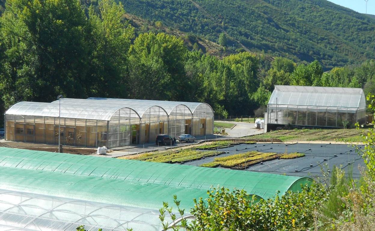 Instalaciones de Ciuden Vivero en Pobladura de las Regueras.
