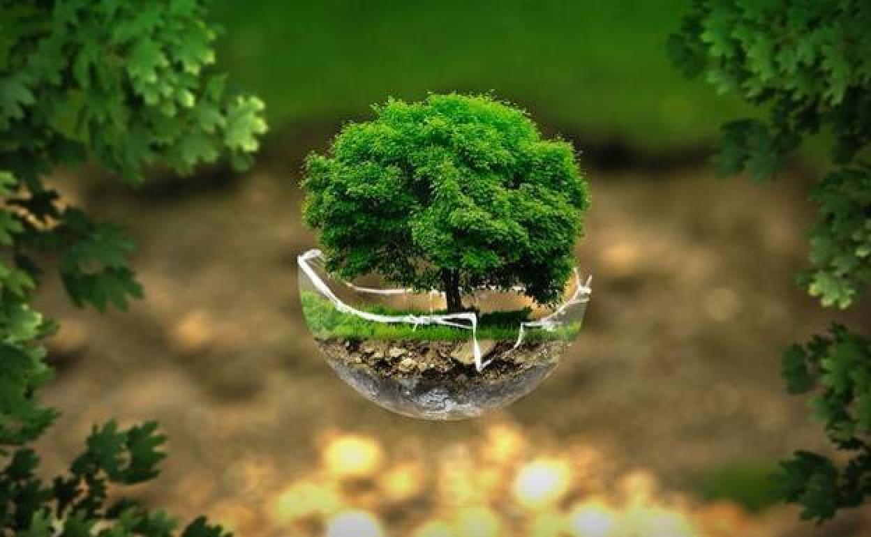 Imagen de recurso sobre el medio ambiente.