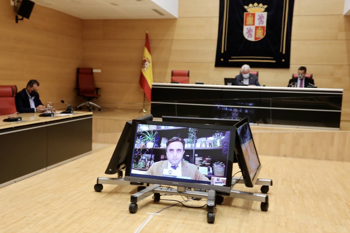 Fotos: Comparecencia de Alberto Esgueva ante la Comisión de investigación de las eólicas en las Cortes