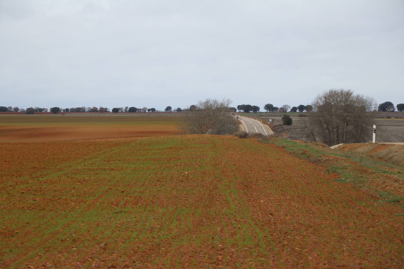 Imagen del campo leonés en la zona de Gordoncillo. 