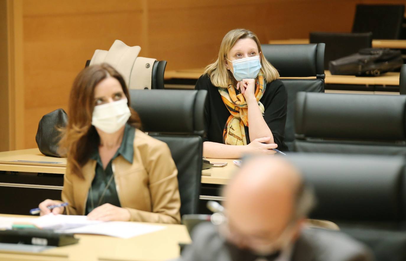 Pleno de las Cortes. 