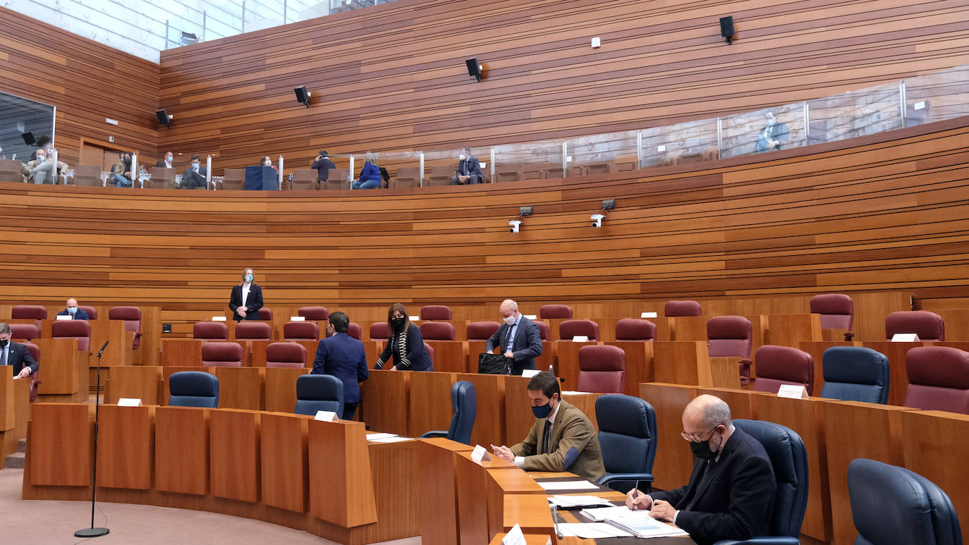 Pleno de las Cortes. 