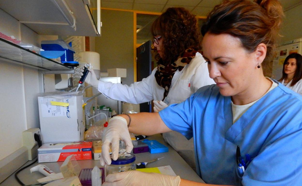 La ULE participa en estas jornadas para impulsar a las mujeres en la carrera de investigación. 