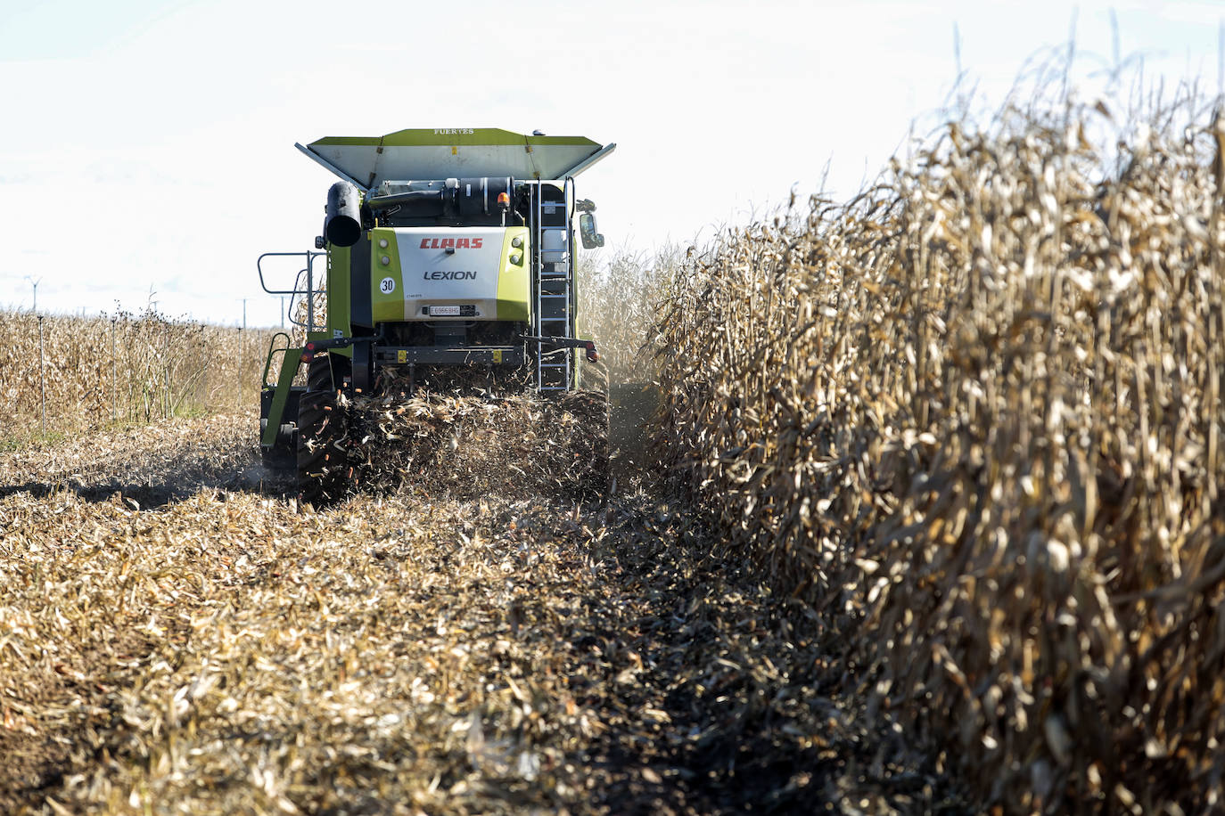 Fotos: El consejero de Agricultura visita a una explotación agrícola en Laguna de Negrillos