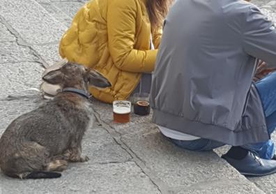 Imagen secundaria 1 - Algunos de los instantes que se vieron en la plaza a lo largo de la jornada.