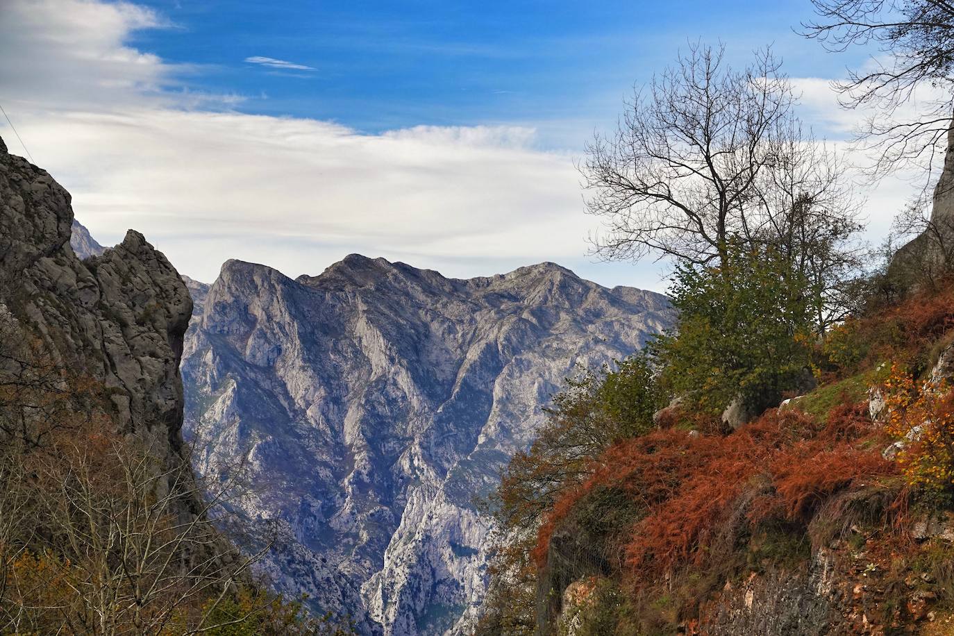 Los colores del otoño, e incluso el blanco de la nieve, ya han teñido los rincones de los Picos de Europa, uno de los lugares más imponentes de Asturias. En este espacio encontraremos las cumbres más altas de la Cordillera Cantábrica como la más emblemática: el Picu Urriellu o Naranjo de Bulnes con sus 2.519 metros de altitud. Un total de 67.127 hectáreas que conforman una de las mejores reservas mundiales de los ecosistemas ligados al bosque atlántico.