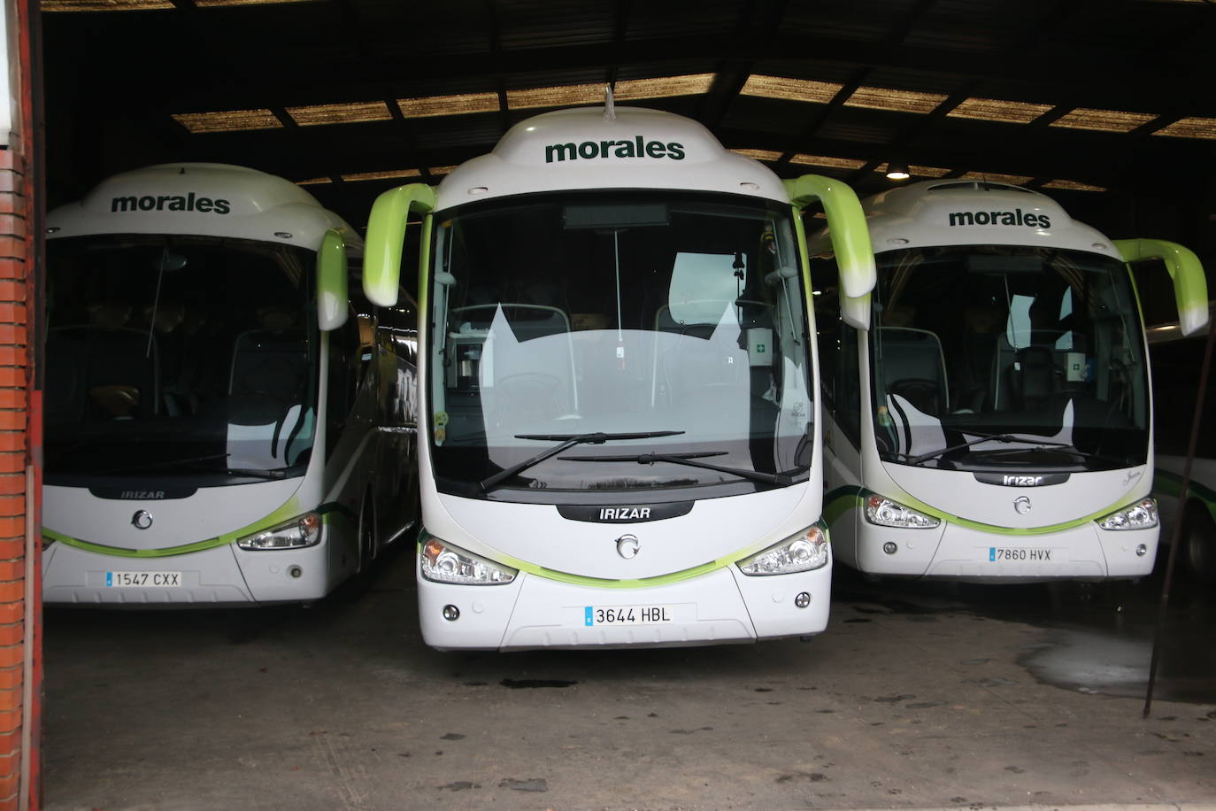 Para Juan Morales, dueño de autobuses Morales, contemplar toda su flota de vehículos dentro de la nave familiar no es precisamente un motivo de orgullo. Y es que estos autobuses, que deberían estar en ruta, han quedado paralizados por la pandemia que tantos sectores ha noqueado.