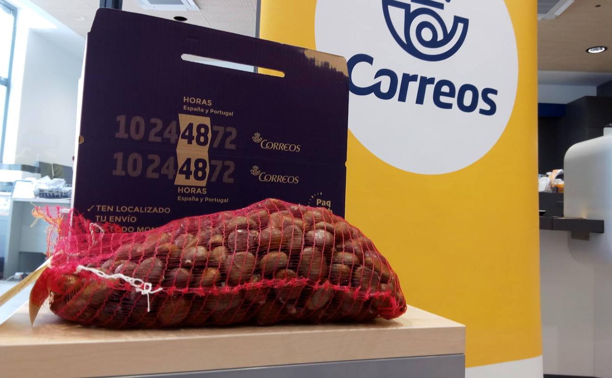 Correos amplía hasta el 30 de noviembre la campaña especial de envío de castañas desde El Bierzo.