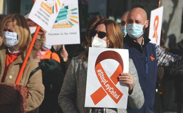 Centenares de personas se concentran para exigir al Gobierno de España que paralice la nueva ley educativa.