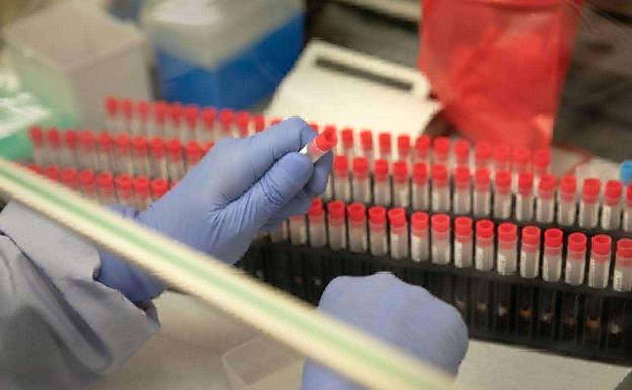 Pruebas covid en un laboratorio. 