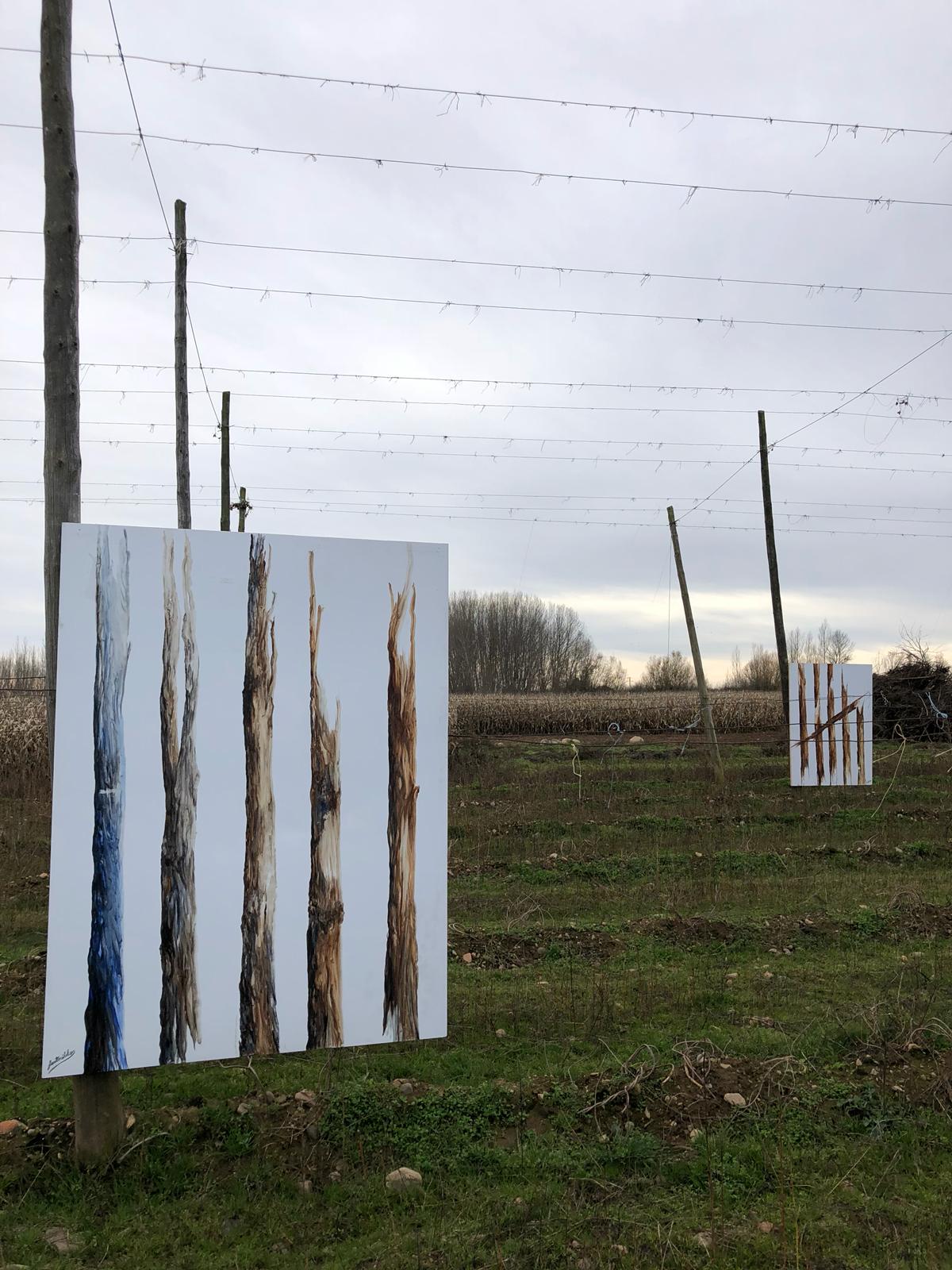 Esta exposición «Alambradas del Arte» tiene lugar hasta el día 9 de diciembre en una finca de lúpulo de Carrizo de la Ribera