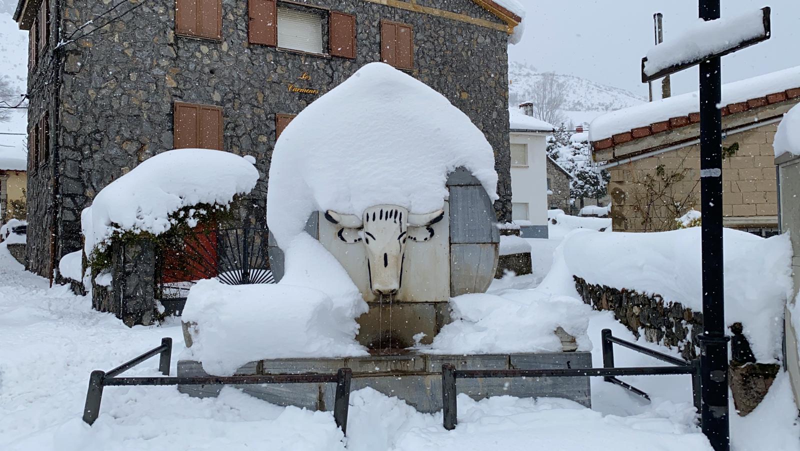 Fotos: La nieve tiñe de blanco el norte de la provincia