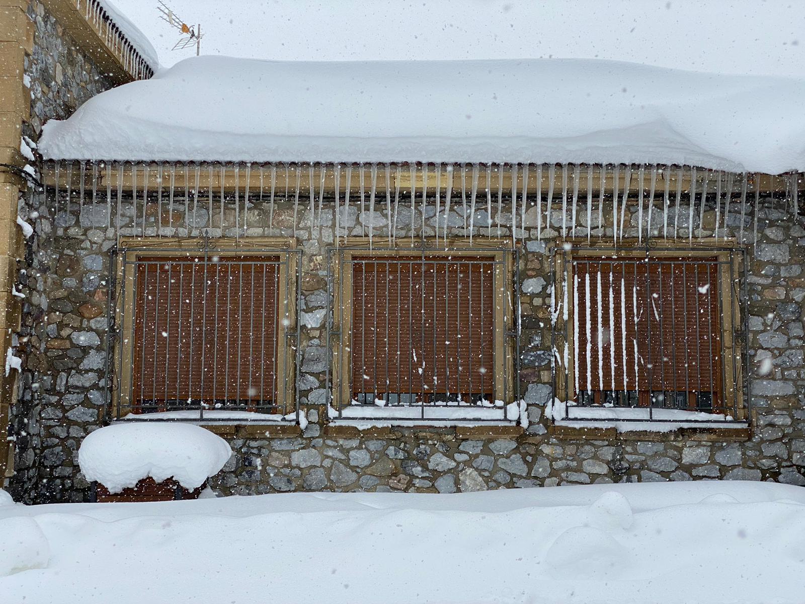 Fotos: La nieve tiñe de blanco el norte de la provincia